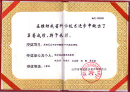 科技進(jìn)步獎(jiǎng)